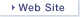 Web Site